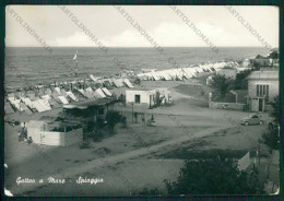 Delcampe - Forlì Gatteo A Mare Vespa PIEGA Foto FG Cartolina KB1363 - Forlì