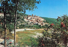 Delcampe - 66 AMELIE LES BAINS - Amélie-les-Bains-Palalda