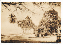 Delcampe - CPSM Dentelée 10.5 X 15 Guinée CONAKRY La Corniche - Guinea