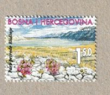 Delcampe - Bosnie Herceg Bosnia - 1999 - Europa - Yvert  N°34D -  Réserves Et Parcs Naturels - 1999