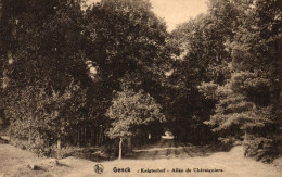 Delcampe - GENK / KELGTERHOF / KASTANJE BOOM LAAN - Genk