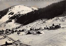 Delcampe - 74-CHATEL-N°T258-A/0225 - Châtel