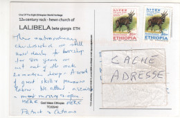 Delcampe - Timbres , Stamps " Gazelle " Sur Cp , Carte , Postcard Du ?? - Ethiopia