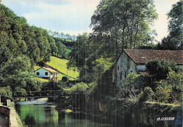 Delcampe - 64 SAINT JEAN PIED DE PORT PERLE DU PAYS BASQUE - Saint Jean Pied De Port