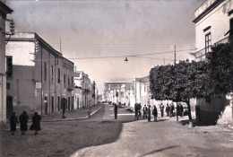 Delcampe - CAMPOBELLO DI MAZARA:  Bozza Fotografica N. 59468 - Trapani