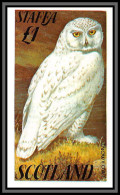 Delcampe - 80827 Staffa Scotland TB Neuf ** MNH Oiseaux Birds Bird Snowy Owl Harfang Des Neiges Chouette - Hiboux & Chouettes