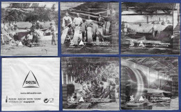 Delcampe - Delta, Portugal 2025 - Museu Municipal De Alcanena -||- Série Complète 5 Sachets Vides - Sugars