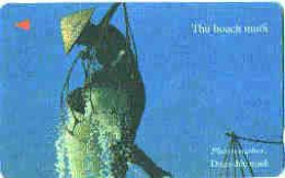 Delcampe - VIETNAM : UP10B 60 THU HOACH MUOI ( Batch: 10UPVB013683) USED - Vietnam