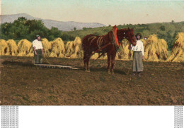 Delcampe - 1V5 Ct  Agriculture Paysan Passant La Herse Avec Son Cheval Derriere Sont Les Meules D'épis De Blé - Landbouw