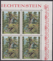 Delcampe - 1980 Liechtenstein ** Zum: 696, Mi: 758, Wettertannen Im Valrosch / 4er Block-Ecke - Ungebraucht