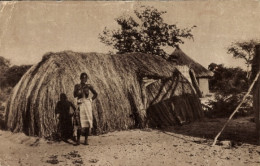 Delcampe - CPA Zambezia Mosambik, Wohnhaus, Afrikanerin - Sonstige & Ohne Zuordnung