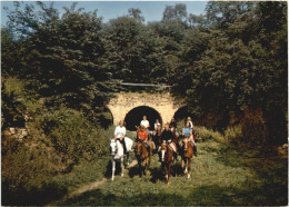 Delcampe - Hotel Schloss Gattendorf - Hof