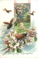 Delcampe - Pfingsten - Maikäfer - Prägekarte - Pinksteren