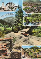 Delcampe - 88 BUSSANG - Bussang