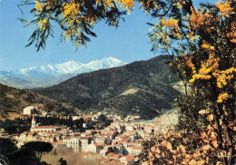Delcampe - 66 AMELIE LES BAINS LE CANIGOU - Amélie-les-Bains-Palalda