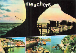 Delcampe - 17 MESCHERS - Meschers