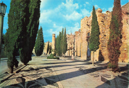 Delcampe - ESPAGNE TARRAGONE PASEO DEL IMPERIO - Tarragona