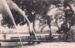 Delcampe - GUINEE CONAKRY LA FONTAINE - Guinea