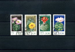 Delcampe - DDR - Cactus En Bloemen - Sonstige & Ohne Zuordnung