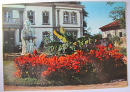 Delcampe - SUISSE - GENEVE - CARTIGNY - Le Message à L'Humanité - Cartigny