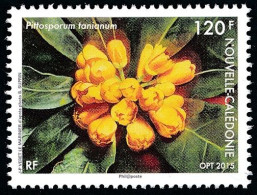 Delcampe - NOUV.-CALEDONIE 2015 - Yv. 1236 ** SUP  Faciale= 1,01 EUR - Flore. Fleurs Pittosporum Tanianum  ..Ref.NCE27445 - Unused Stamps