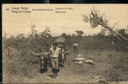 Delcampe - Carte Illustrée Obl. N° 62. Vue. 80. - ELISABETHVILLE: Rentrée Du Maïs - Obl. KINSSHASA - 03/11/1923 - Stamped Stationery