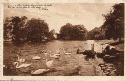 Delcampe - HARBURG AMBURGO - ALSTERPARTIE (non Indicato) - FORMATO PICCOLO - VIAGGIATA 1928 - (rif. B72) - Harburg