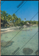 Delcampe - °°° 36992 - POLYNESIE FRANCAISE - RANGIROA TUAMOTU - KIA ORA VILLAGE - 1984 With Stamps °°° - Polinesia Francese