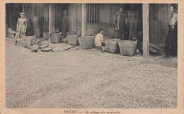 Delcampe - BANAM LE SECHAGE DES CACAHUETES - Cambodja