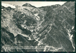 Delcampe - Sondrio Passo Dello Stelvio Strada Carrozzabile Foto FG Cartolina KV8102 - Sondrio