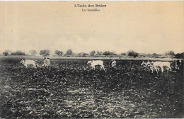 Delcampe - CPA Série L'Inde Des Rajas Inde India Non Circulé Ethnic - India