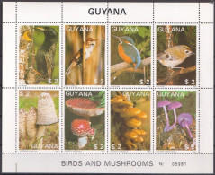 Delcampe - Guyana 1987, Birds, Kingfisher, Mushrooms, Block - Sperlingsvögel & Singvögel