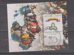 Delcampe - Lithuania  2016 Mi Bl.54 Baltic Assembly Used - Latvia
