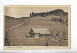 Delcampe - BREGENZ AM BODENSEE. PFÄNDERDOHLE MIT PFÄNDERSPITZE. - Bregenz