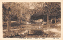 Delcampe - 84-MALAUCENE-SOURCE DU GROZEAU-N°T295-C/0253 - Malaucene