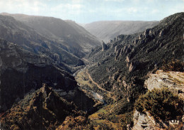 Delcampe - 48-GORGES DU TARN-N°C-4323-D/0291 - Gorges Du Tarn