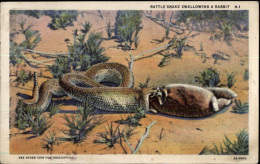 Delcampe - 50471596 - - Other & Unclassified