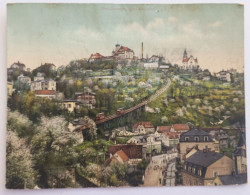 Delcampe - Dresden Dresde LUISENHOF Ober - Loschwitz Riesenpostkarte Hotel Un Berg Restaurant - Dresden