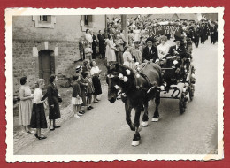 Delcampe - PHOTO ORIGINALE 7 X 10 - LOCALISATION HOSTERT - LUXEMBOURG - CORTEGE ATTELAGE CHEVAL - Other & Unclassified