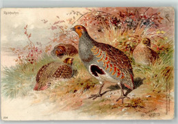 Delcampe - 10720914 - Sign. Ch. Votteler  Federwild Rebhuhn  Gefluegel - Other & Unclassified