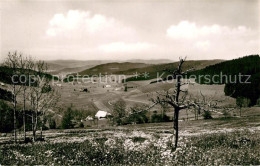 Delcampe - Neustadt Schwarzwald Pension Haus Feldbergblick P. Vogelbacher - Titisee-Neustadt