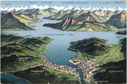 Delcampe - Vierwaldstätter See Und Umgebung - Andere & Zonder Classificatie