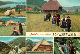Delcampe - CPM Schwarzwald - Gruss Aus.../ Gruesse Aus...