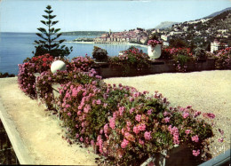 Delcampe - CPM Couleurs Et Lumiere De France La Cote D'Azur Miracle De La Nature Menton Alpes MAritimes - Menton