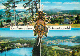 Delcampe - CPM Schwarzwald Panorama - Gruss Aus.../ Gruesse Aus...