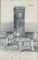 Delcampe - Az391 Cartolina Albenga Torre Marchesi Del Carretto Di Balestrino Savona 1905 - Savona