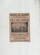Delcampe - Domaine De Varanges De Valence Cluny Vente De Porcs Reproducteurs Large White Yorkshire Herd Book - Publicidad
