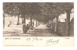 Delcampe - Cpa Bains De Schoenbrunn L'allée  - Artist Atelier Guggenheim 7804 - Other & Unclassified