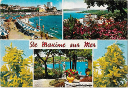 Delcampe - France > [83] Var > Sainte-Maxime Sur Mer > Divers Aspects - Sainte-Maxime