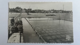 Delcampe - Cpsm 33 Bassin D'arcachon Réserve à Huitres 1964 - Arcachon
